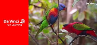 Посольство животных - Черепаха. Посольство животных - Черепаха.