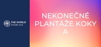 Nekonečné plantáže koky a opekané morské prasiatko na špíze. Bolívia. Nekonečné plantáže koky a opekané morské prasiatko na špíze. Bolívia.