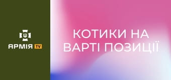 Котики на варті позиції | FPV полюють на сили Оборони || Фенікс ДПСУ.
