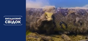 Случайный свидетель. Вокруг света, Выпуск 32 Случайный свидетель. Вокруг света, Выпуск 32