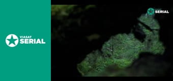 Т/с "Роня, дочка розбійника", 1 сезон, 4 с. Т/с "Роня, дочка розбійника", 1 сезон, 4 с.