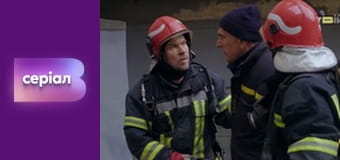 Т/с "Філін", 1 сезон, 17 с.