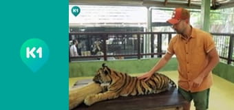 "Орёл и Решка. Дайджест".