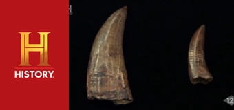 Звезды ломбарда, 24 сезон, 18 эп. Большая редкость.