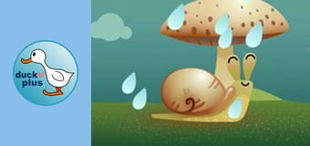 Home Sweet Home - Snail