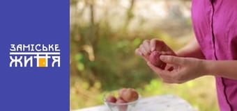 "Эко-дача" сезон 1 серия 10 "Эко-дача" сезон 1 серия 10