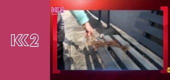 Загальнонаціональна хвилина мовчання