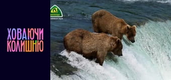 Рекламный блок