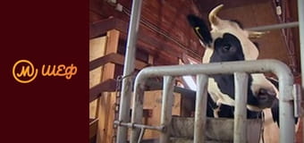 Season 7, Episode 5, Part 9