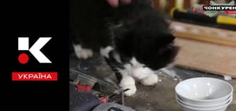 Дача бородача.