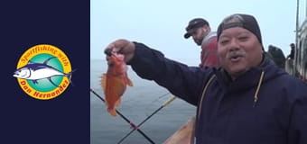 Californian, part 1 Californian, part 1