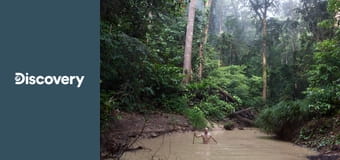 Выживание без купюр S1E5 - Венесуэла