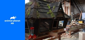 Дома для животных S2E6 - Скотный двор на заднем дворе