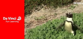 Сияя - Отправьтесь с нами - Скалолаз Сияя - Отправьтесь с нами - Скалолаз