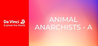 Animal Anarchists - A Very Pretty Insect Trap