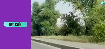 Кафе "Пінгвін" на Куренівці. Історія створення та сьогодення. Культові місця Києва #1.