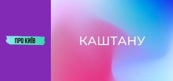 Рейтарська: київська молодіжна перлина. Чому стала популярною? Інтерв'ю зі співвласником "Каштану".