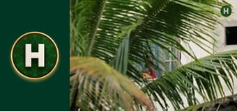 Орел і Решка. Земляни