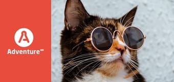 Zakręcone stworzonka z Internetu E15 Zakręcone stworzonka z Internetu E15