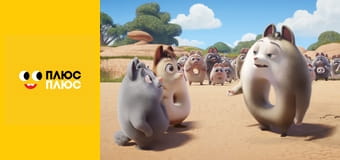 Пончари. Глобальне заокруглення