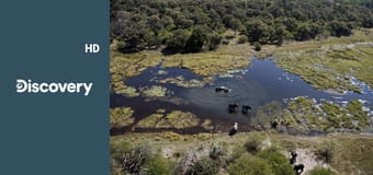 Голые и напуганные S8E5 - Поверженный фермер