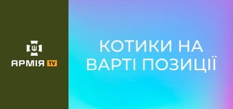 Котики на варті позиції | FPV полюють на сили Оборони || Фенікс ДПСУ.