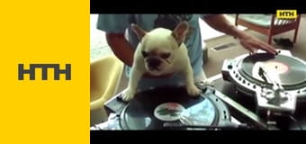 "Правда життя. Професійні байки".