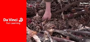 Сияя - Отправьтесь с нами - Под водой Сияя - Отправьтесь с нами - Под водой