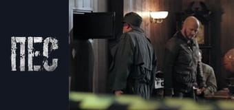 Dog, Season 5, Episode 15