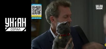 Доктор Хаус