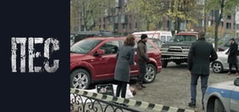 Dog, Season 6, Episode 20