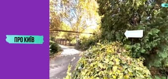 Де погуляти в Києві восени? Секретна київська оаза. Сирецький Дендропарк.