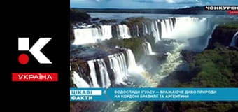 Цікаві факти.