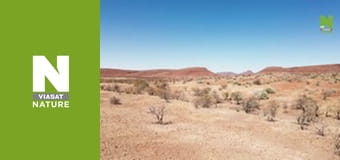 Hot Life: Africa - Cheetah's Burning Plains