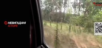 Невигадані історії.