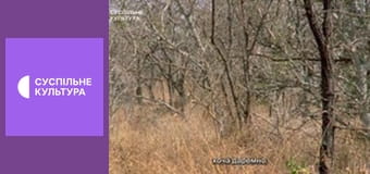 Д/с "Суперздібності тварин". "Дотик".