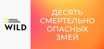 Десять смертельно опасных змей S3E1 - Филиппины