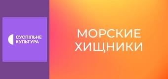 Д/с "Морские хищники". "Гладкая акула-молот".