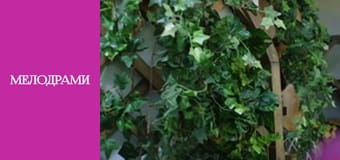 Т/с "Когда прошлое впереди" - серия 10