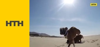 Т/с "Элементарно", 3 сезон, 1 и 2 с.