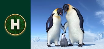 Веселі ніжки