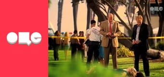 Т/с "CSI: Місце злочину - Маямі", 4 сезон, 13 с.