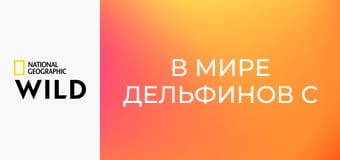 В мире дельфинов с Берти Грегори