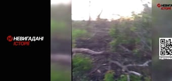 Невигадані історії.