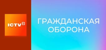 "Гражданская оборона".