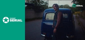 Т/с "Пурга", 3 с.