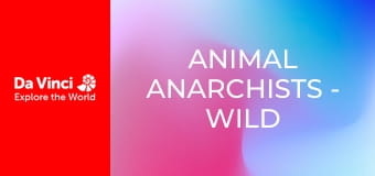 Animal Anarchists - Wild Family Parents