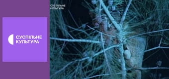 Д/с "Суперздібності тварин". "Нічні тварини".