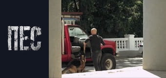 Пёс, Сезон 4, Серия 18