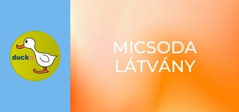 Micsoda látvány Micsoda látvány